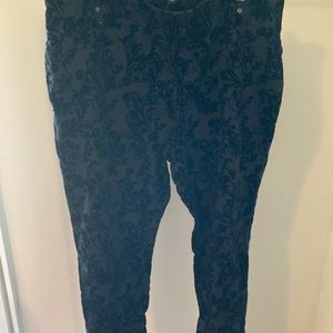 Black Velvet Burn Out Skinny/Legging Pants - Plus
